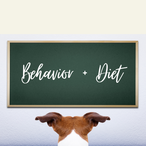 Can diet affect a dog’s behavior?