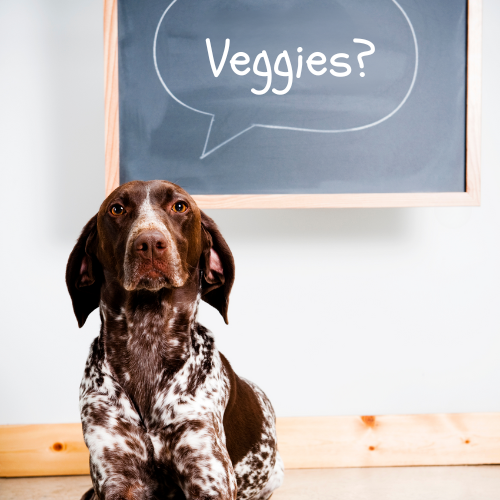 Does my dog need vegetables?