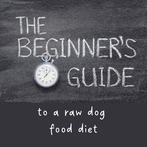 Raw dog food for beginners