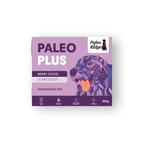 Paleo Plus Berry Good 300g