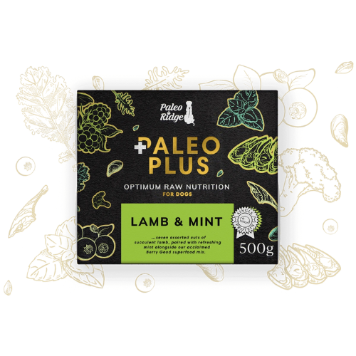 Paleo Plus Lamb and Mint 500g